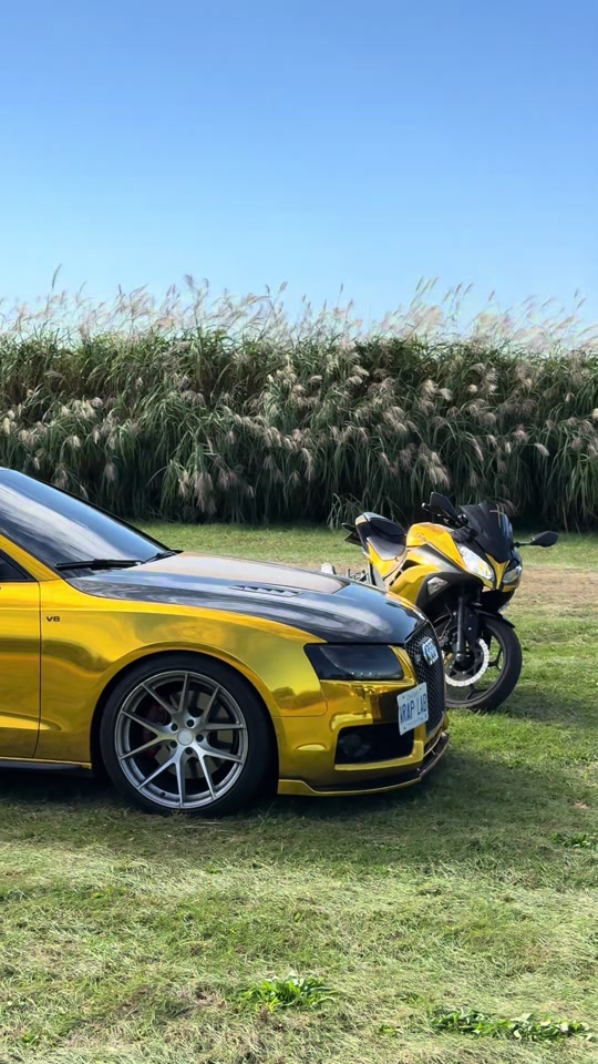 Audi S5 x Kawasaki 😮💨